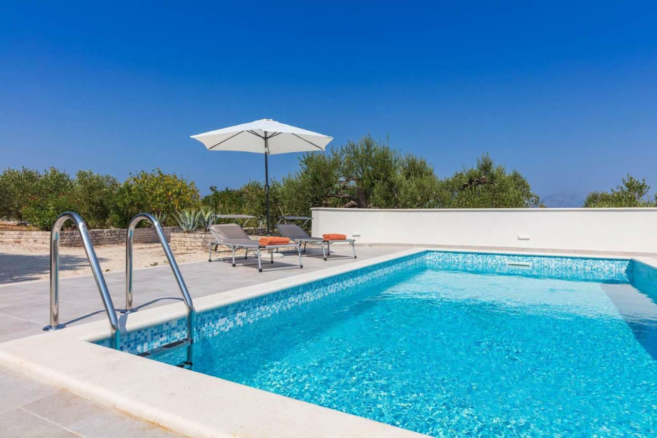 Villa Dubrava Tranquil Retreat Nestled In An Olive Grove For Serene Escapes Pucisca Bagian luar foto