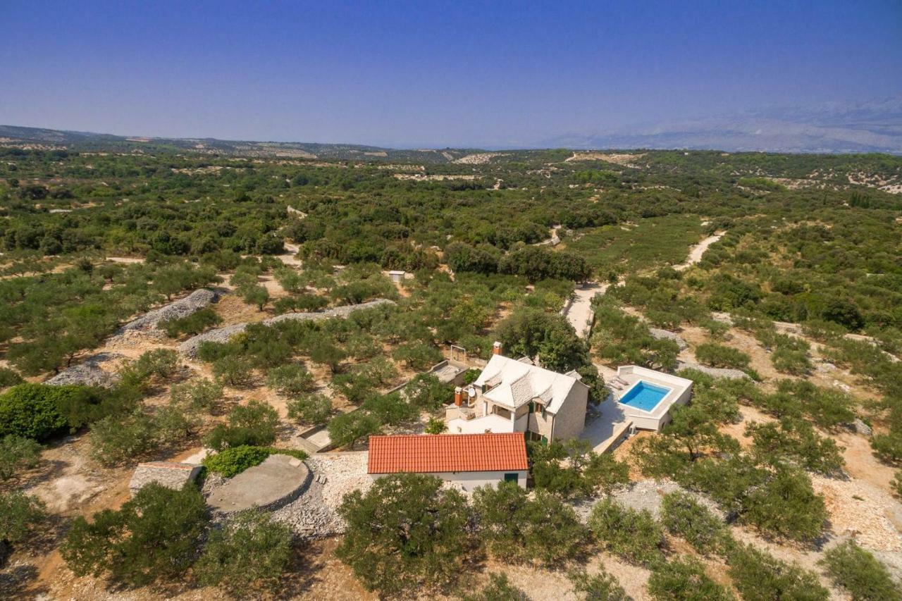 Villa Dubrava Tranquil Retreat Nestled In An Olive Grove For Serene Escapes Pucisca Bagian luar foto