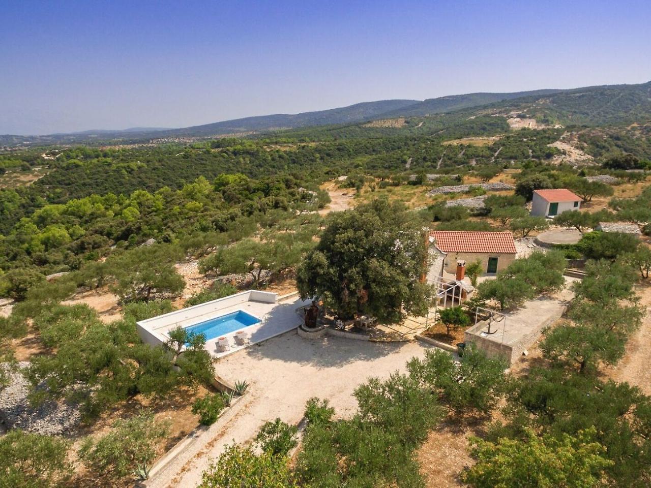 Villa Dubrava Tranquil Retreat Nestled In An Olive Grove For Serene Escapes Pucisca Bagian luar foto