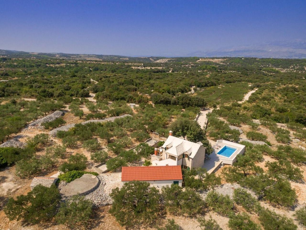 Villa Dubrava Tranquil Retreat Nestled In An Olive Grove For Serene Escapes Pucisca Bagian luar foto